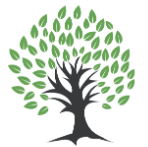 МЛМ компания Tree Capital