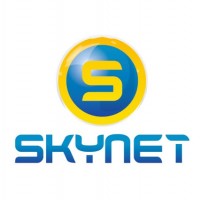 МЛМ компания Skynet