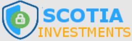 МЛМ компания Scotia Investments
