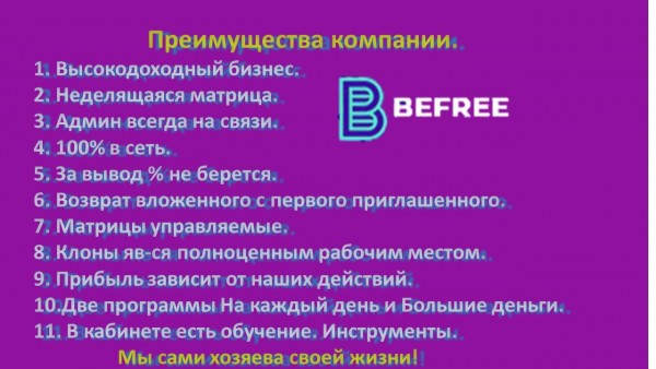 Бифри маркетинг план