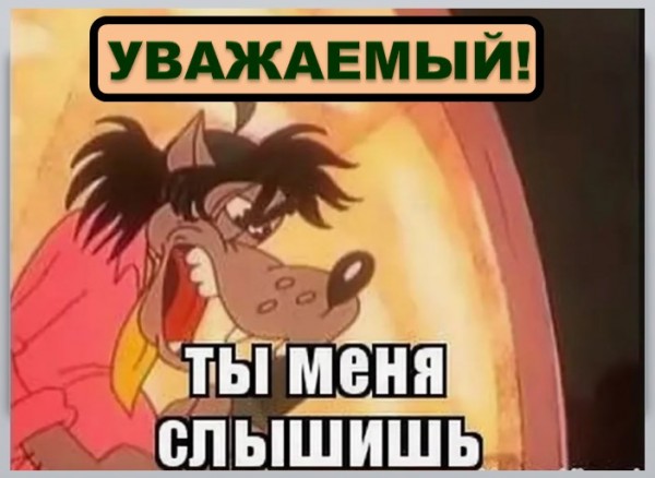 Носить носил слышать слышал. Ты меня слышишь картинки. Картинка слышишь за углом подышишь