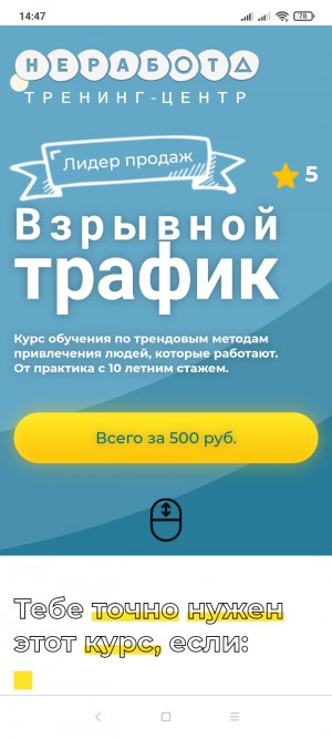 https://nerabota.center/lp_traffic/Olesyk
